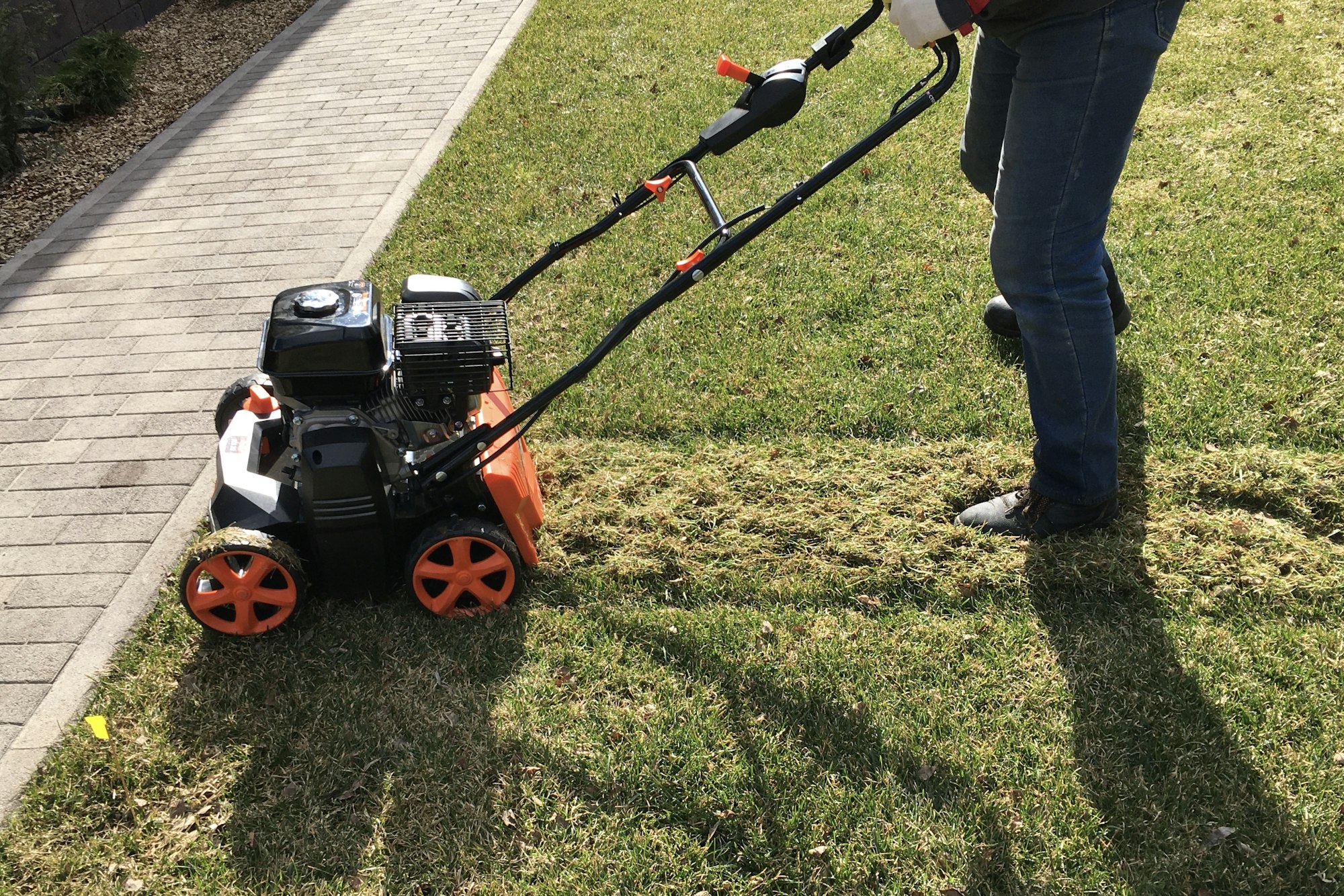 Lawn scarification, spring cleaning workv